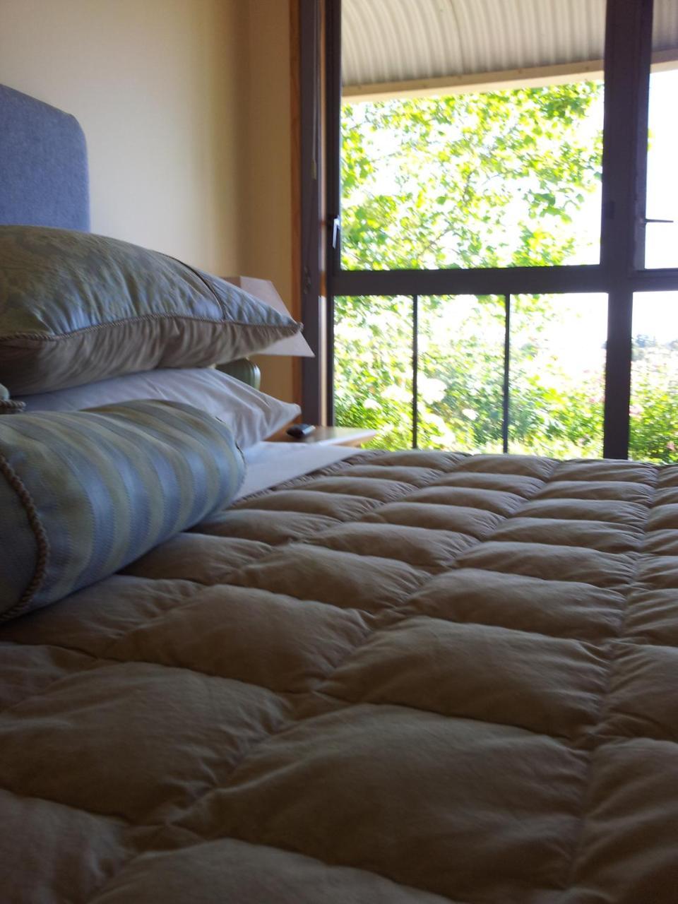 Hawkdun Rise Vineyard & Accommodation Alexandra Buitenkant foto